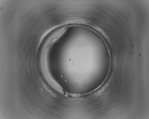 X0000061750830200512231523