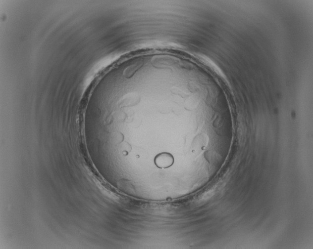 X0000061750831200512231523