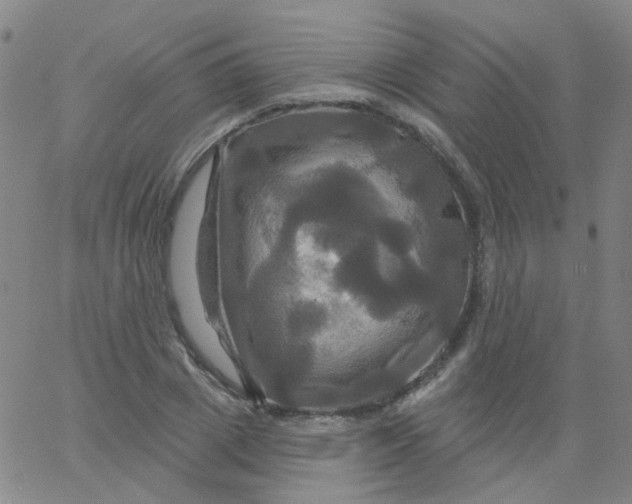 X0000061750833200512231523