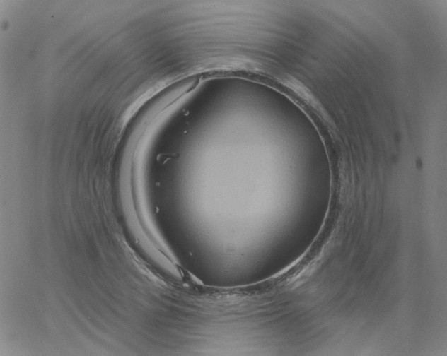 X0000061750834200512231523