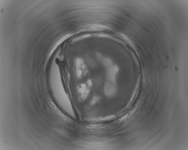 X0000061750835200512231523