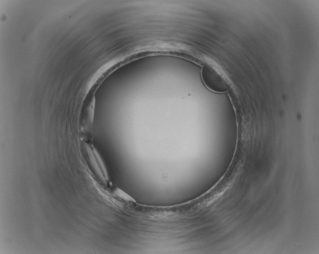 X0000061750837200512231523