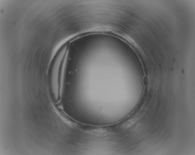 X0000061750838200512231523