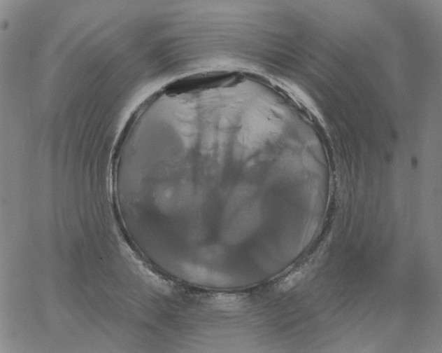 X0000061750839200512231523