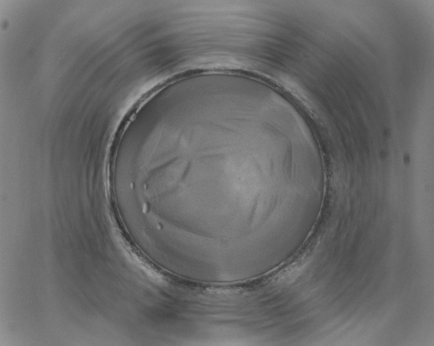 X0000061750840200512231523