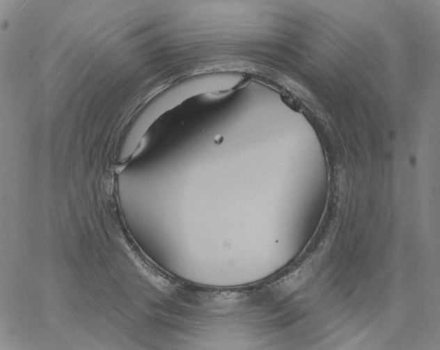 X0000061750841200512231523