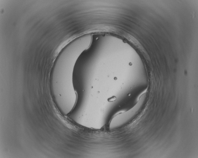 X0000061750842200512231523