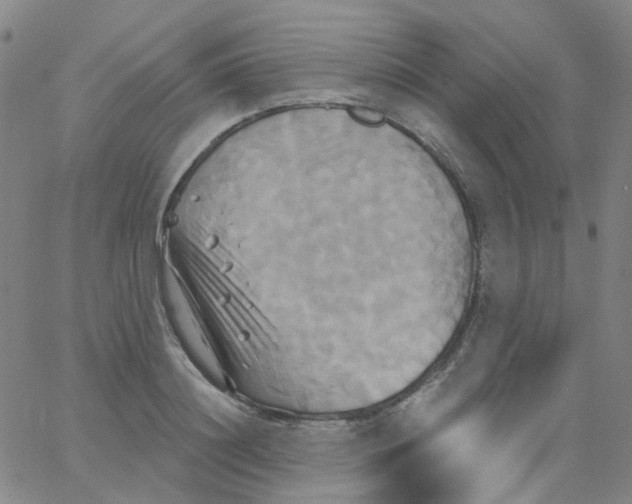 X0000061750844200512231523