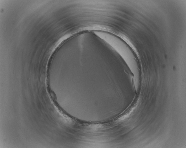 X0000061750845200512231523