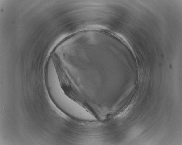 X0000061750851200512231524