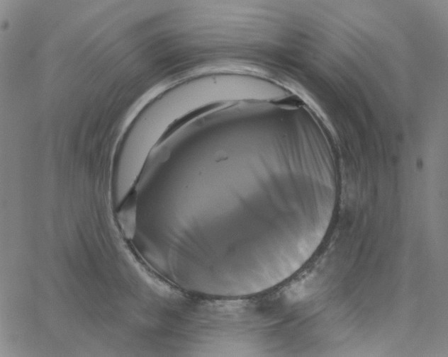 X0000061750853200512231524