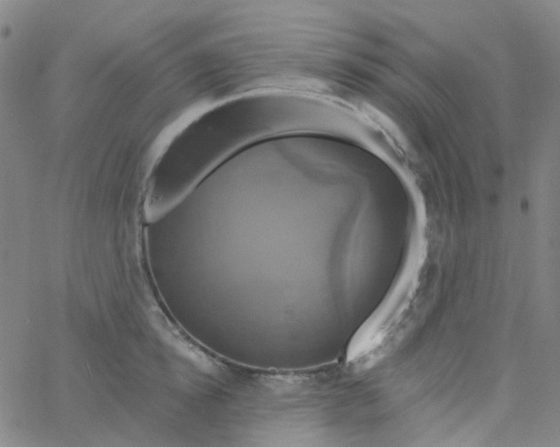 X0000061750854200512231524