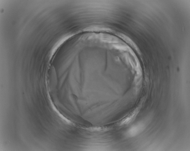 X0000061750855200512231524