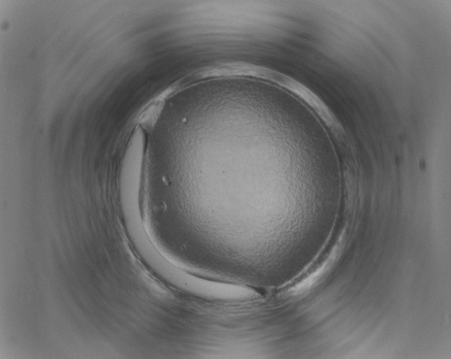 X0000061750857200512231524