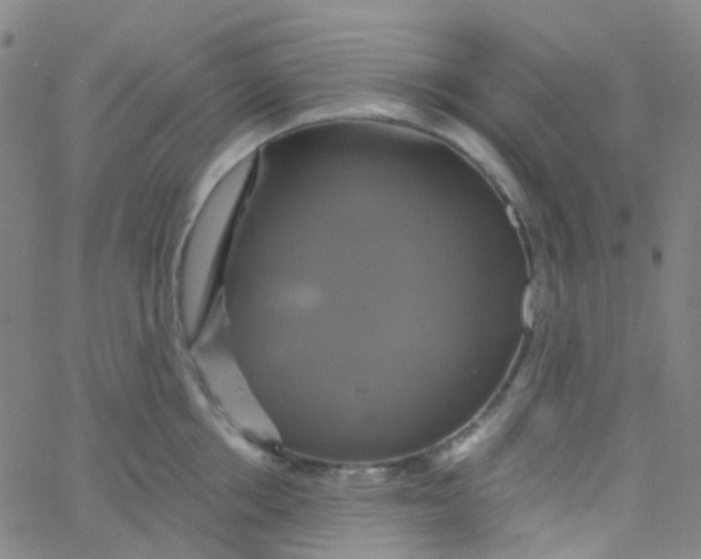 X0000061750858200512231524