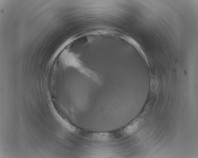 X0000061750859200512231524