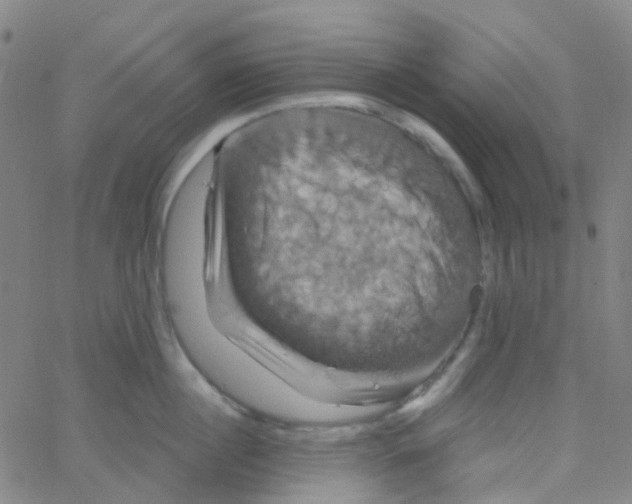 X0000061750860200512231524