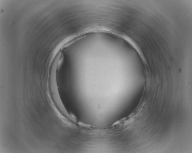 X0000061750861200512231524