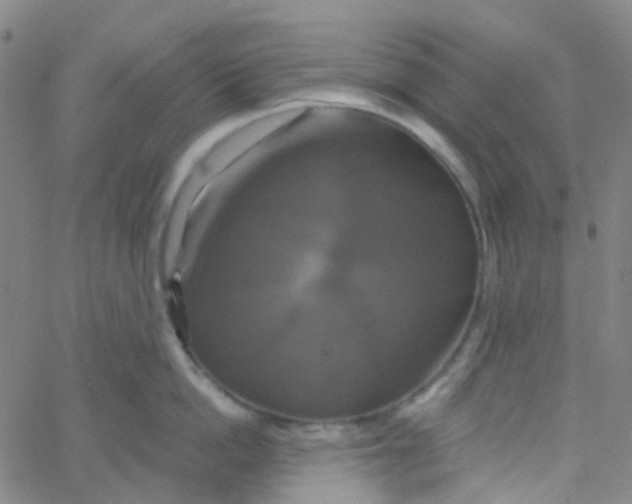 X0000061750862200512231524