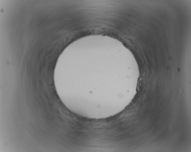 X0000061750865200512231523