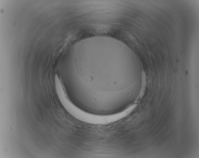 X0000061750866200512231523