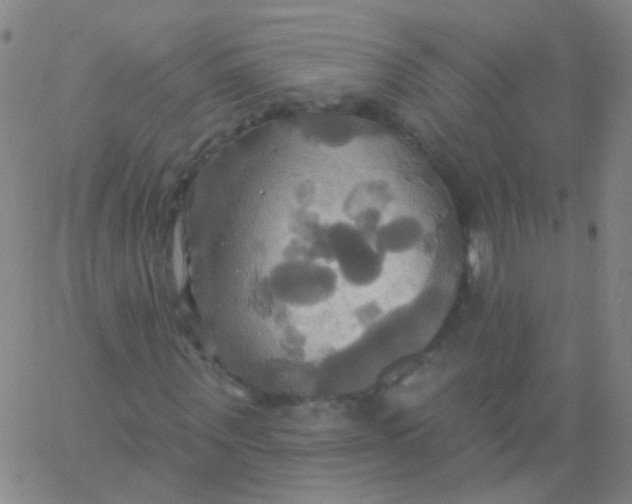 X0000061750867200512231523