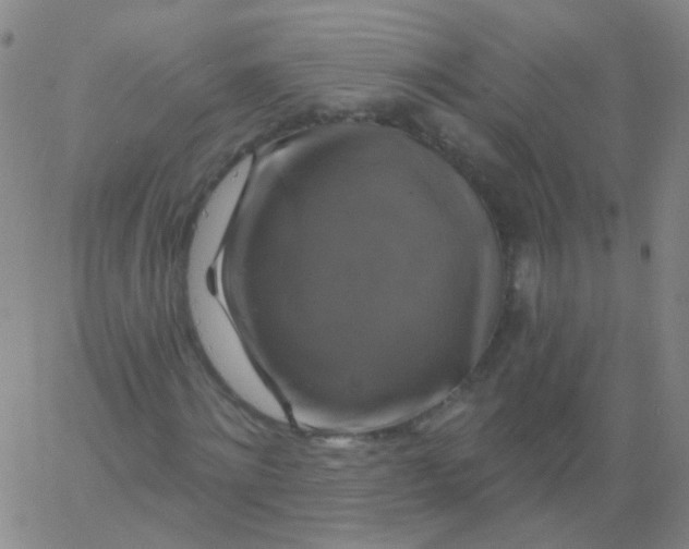 X0000061750868200512231523