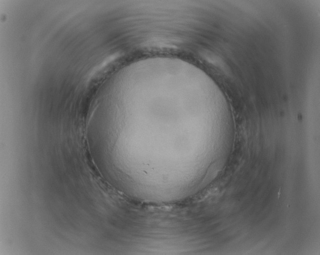 X0000061750870200512231523