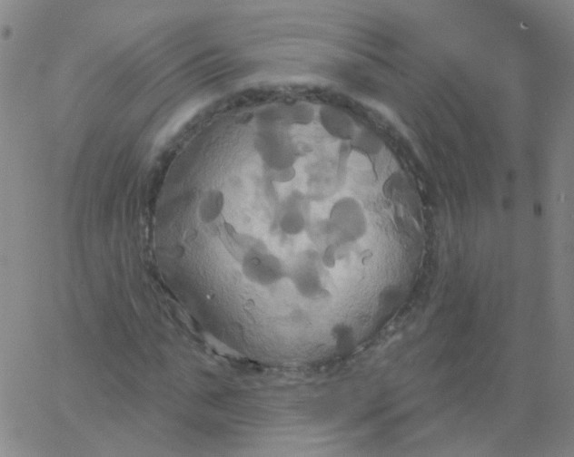 X0000061750871200512231523