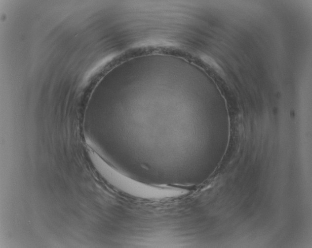 X0000061750872200512231523