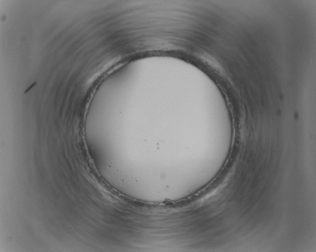 X0000061750873200512231523