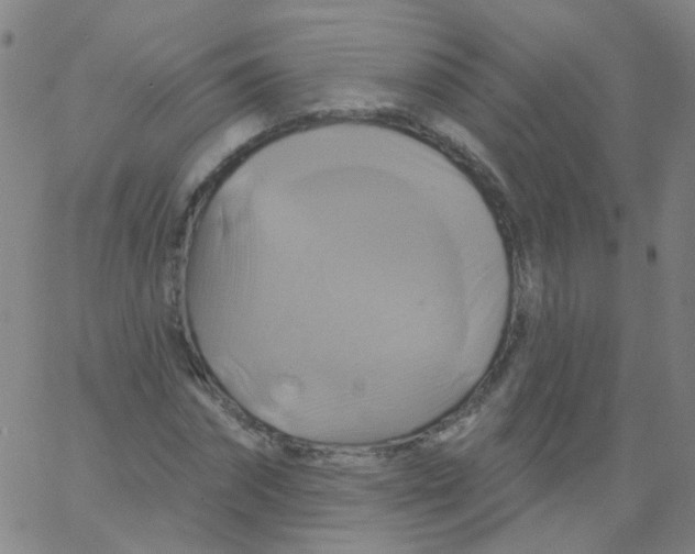 X0000061750874200512231523