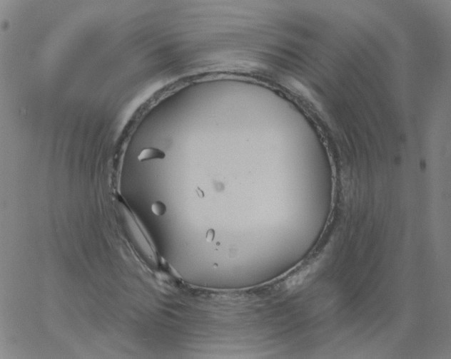 X0000061750875200512231523