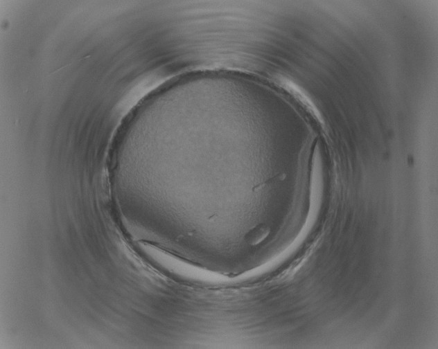 X0000061750876200512231523