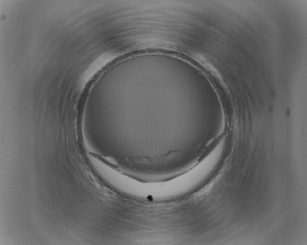 X0000061750877200512231523