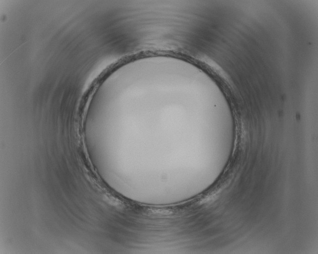 X0000061750878200512231523