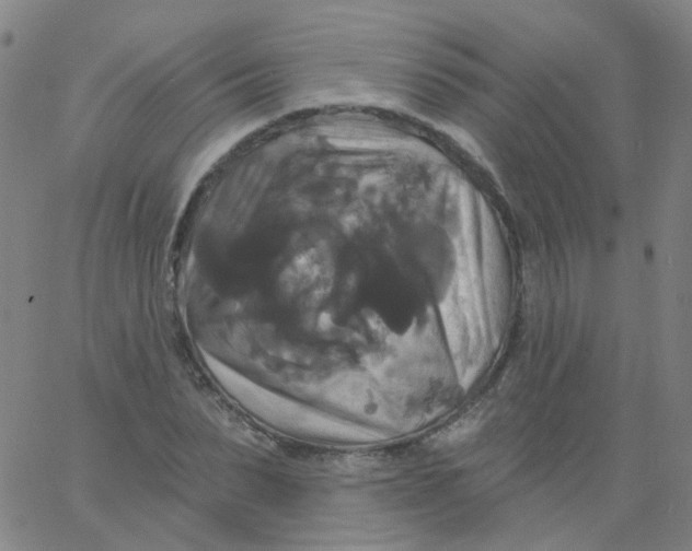 X0000061750879200512231523