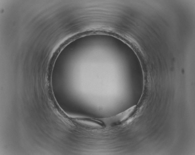 X0000061750880200512231523