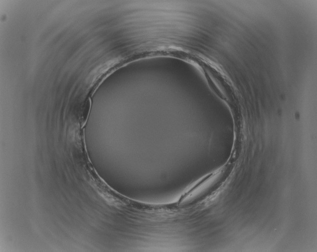 X0000061750881200512231523