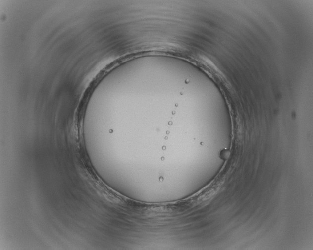 X0000061750883200512231523