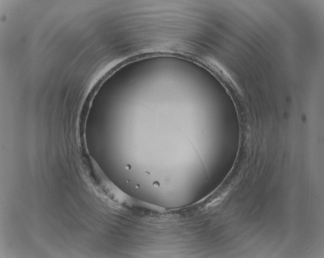 X0000061750884200512231523