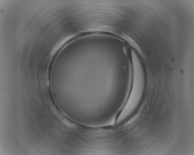 X0000061750885200512231523