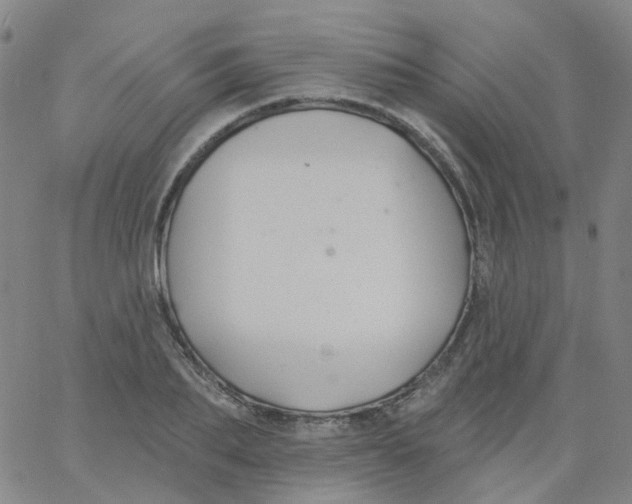 X0000061750887200512231523