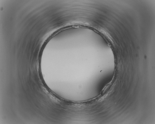 X0000061750888200512231523