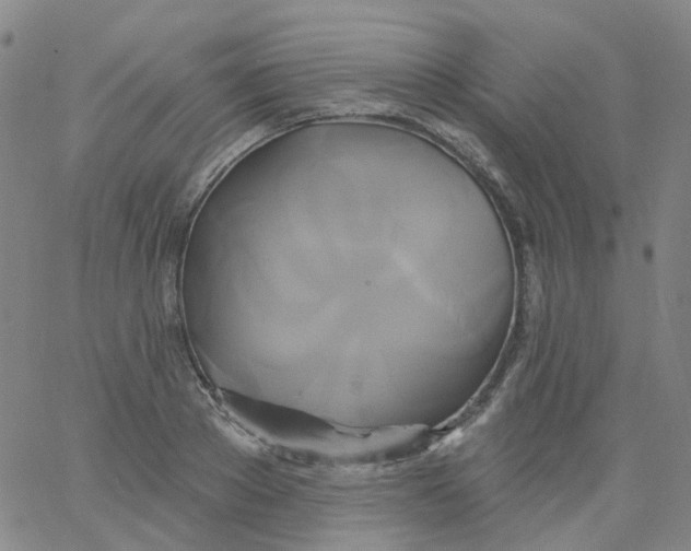 X0000061750889200512231523