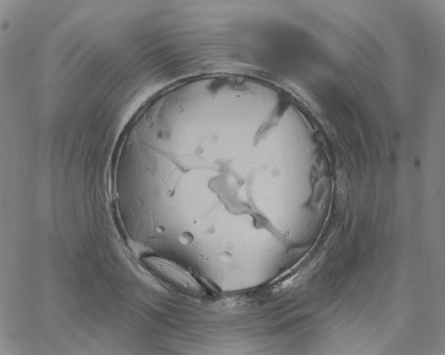 X0000061750891200512231523