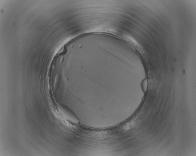 X0000061750892200512231523