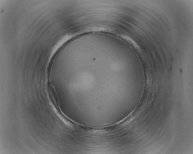 X0000061750894200512231523