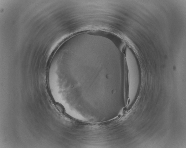 X0000061750896200512231522