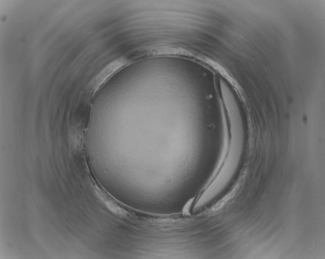 X0000061750897200512231522